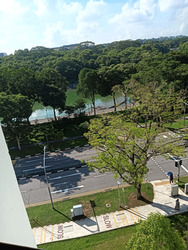 Blk 325 Hougang Avenue 7 (Hougang), HDB 4 Rooms #557034161